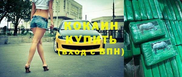 дурь Магас