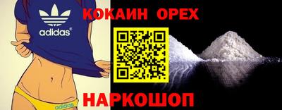 тгк Гай