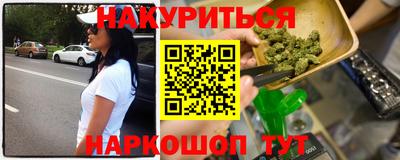 тгк Гай