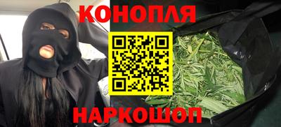 тгк Гай